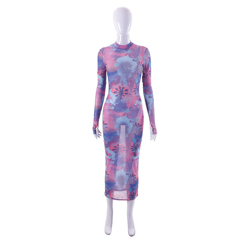 Long Sleeve Sheer Mesh Floral Print Casual Maxi Dress